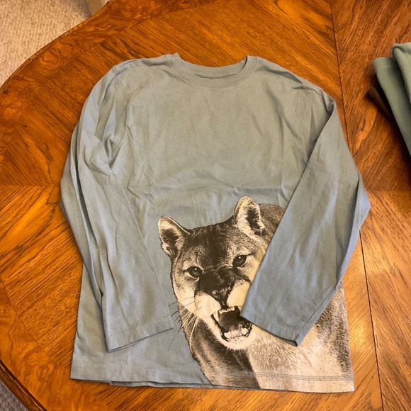 GYMBOREE boys long sleeve shirts featuring outdoors - Picture 2 of 12